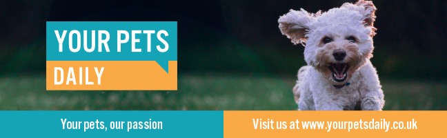 your pets daily logo
